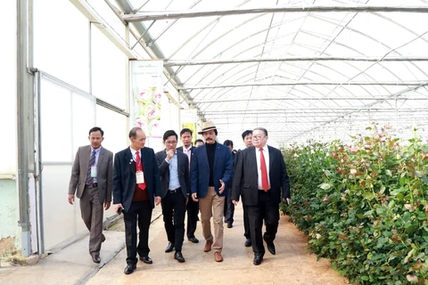 Đoàn đại biểu thăm Công ty Đà Lạt Hasfarm. (Ảnh : Đặng Tuấn/TTXVN)