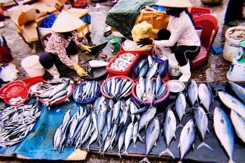 [Video] Chợ cá Đồng Hới - địa điểm du khách nên tới khi ghé Quảng Bình
