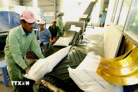Xuất khẩu gạo tại Công ty lương thực An Giang. (Ảnh: TTXVN)