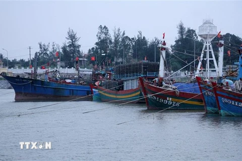 Nhiều tàu cá có công suất neo đậu tại cửa Phú, Nhật Lệ, Quảng Bình. (Ảnh: Văn Tý/TTXVN)