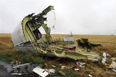 Xác máy bay MH17 của Hãng hàng không Malaysia Airlines bị bắn rơi gần làng Grabove, cách Donetsk, miền Đông Ukraine khoảng 80km, tháng 9/2014. (Ảnh: AFP/TTXVN)