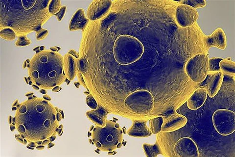 Hình ảnh do Cơ quan dược phẩm và thực phẩm Mỹ cung cấp về virus SARS-CoV-2 gây dịch viêm đường hô hấp cấp COVID-19. (Ảnh: AFP/TTXVN)