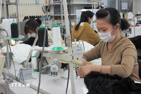 Thực tập sinh Việt Nam tại Công ty TNHH Mishow (Tokyo) đeo khẩu trang trong khi làm việc. (Ảnh: Đào Thanh Tùng/TTXVN)