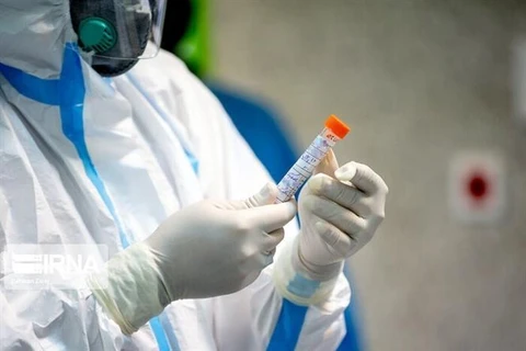 Nhân viên y tế kiểm tra bộ kit xét nghiệm virus Corona tại một bệnh viện ở Tehran, Iran. (Ảnh: IRNA/TTXVN)