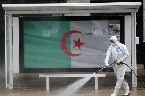 Phun khử trùng một tuyến phố ở Algiers, Algeria nhằm ngăn chặn sự lây lan của dịch COVID-19 ngày 20/3/2020. (Ảnh: THX/TTXVN)