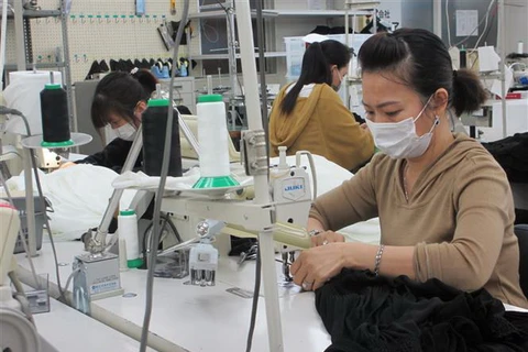 Thực tập sinh Việt Nam tại Công ty Trách nhiệm hữu hạn Mishow (Tokyo) đeo khẩu trang trong khi làm việc. (Ảnh: Đào Thanh Tùng/TTXVN)