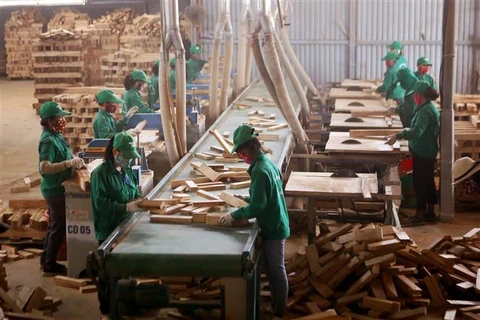Chế biến gỗ trong Khu công nghiệp Cam Thành, huyện Cam Lộ, Quảng Trị. (Ảnh: Hồ Cầu/TTXVN)