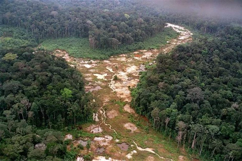Khoảng rừng Amazon bị chặt phá tại Brazil. (Ảnh: AFP/TTXVN)