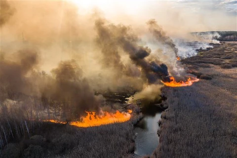 Khói lửa bốc lên từ đám cháy rừng gần nhà máy điện hạt nhân Chernobyl ở Ukraine ngày 5/4/2020. (Ảnh: AFP/TTXVN)