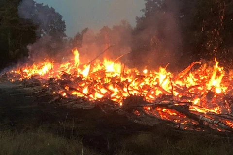 Hình ảnh vụ cháy rừng tại De Meinweg. (Nguồn: nltimes.nl)