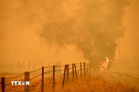 Khói bốc lên từ đám cháy rừng ở Bumbalong, Australia ngày 2/2/2020. (Ảnh: AFP/TTXVN)