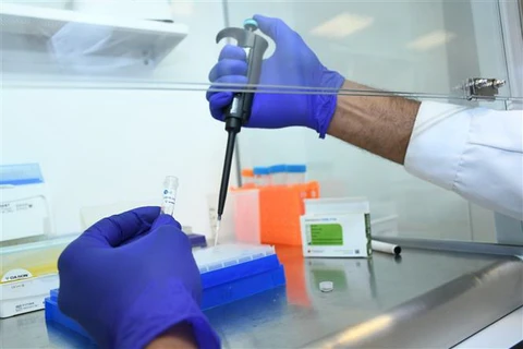 Nhân viên y tế kiểm tra các mẫu xét nghiệm COVID-19 tại Rabat, Morocco, ngày 9/6/2020. (Ảnh: THX/TTXVN)