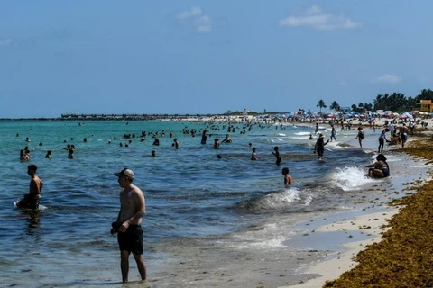 Bãi biển ở thành phố Miami. (Nguồn: AFP)