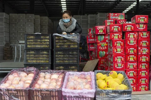 Sản phẩm nông nghiệp được bày bán tại khu chợ ở Tương Dương, Hồ Bắc, Trung Quốc. (Ảnh: THX/TTXVN)