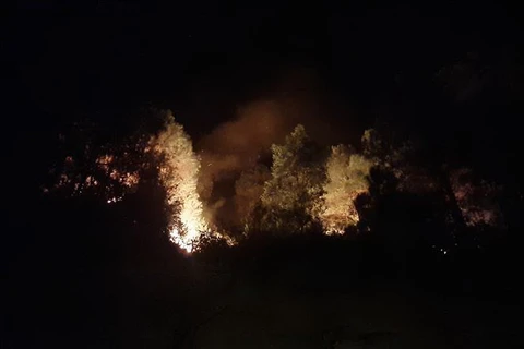 Cháy rừng tại xã Diễn Lộc. (Ảnh: Nguyễn Oanh/TTXVN)
