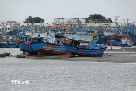 Luồng vào cảng cá Cà Ná bị bồi lấp gây khó khăn cho tàu thuyền ra vào. (Ảnh: Nguyễn Thành/TTXVN)