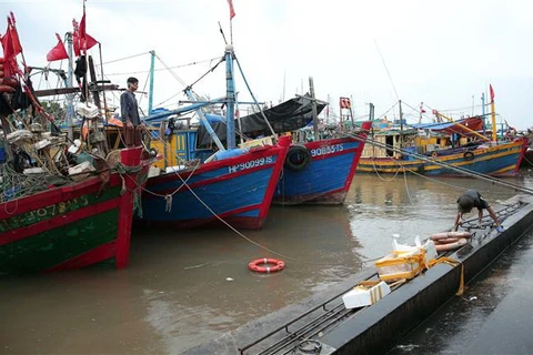 Tàu thuyền đánh cá đã neo đậu tại bến cá Ngọc Hải, quận Đồ Sơn, thành phố Hải Phòng. (Ảnh: An Đăng/TTXVN)