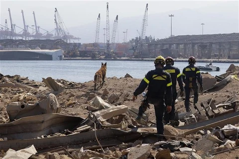 Nhân viên cứu hộ đến từ Pháp tìm kiếm nạn nhân dưới đống đổ nát sau vụ nổ ở Beirut, Liban, ngày 7/8/2020. (Ảnh: AFP/TTXVN)