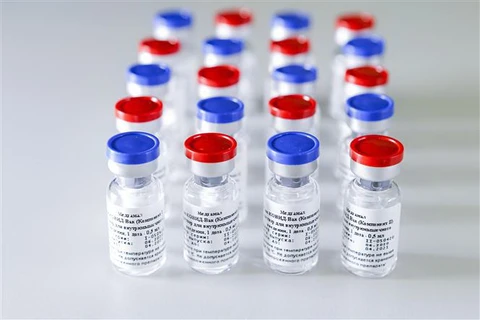 Vắcxin ngừa COVID-19 do Viện nghiên cứu Dịch tễ học và Vi sinh học Quốc gia Gamaley của Nga phát triển. (Ảnh: AFP/TTXVN)