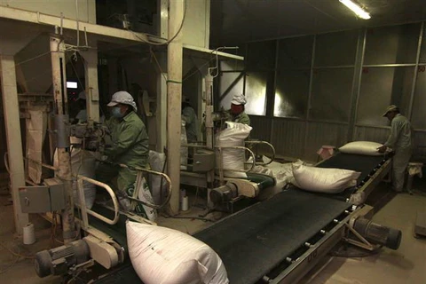 Đóng gói sản phẩm gạo xuất khẩu tại nhà máy của Tập đoàn Lộc Trời (tỉnh An Giang). (Ảnh: Vũ Sinh/TTXVN)