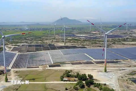 Các dự án năng lượng tái tạo đưa vào vận hành thương mại đã đóng góp đáng kể cho sự phát triển ngành công nghiệp của Ninh Thuận. (Ảnh: Công Thử/TTXVN)