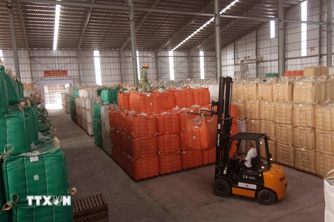 Chuẩn bị nguồn hàng gạo xuất khẩu tại nhà máy của Tập đoàn Lộc Trời (tỉnh An Giang). (Ảnh: Vũ Sinh/TTXVN)
