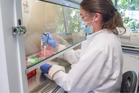 Kỹ thuật viên thử nghiệm vắcxin phòng COVID-19 tại phòng thí nghiệm. (Ảnh: AP/TTXVN)
