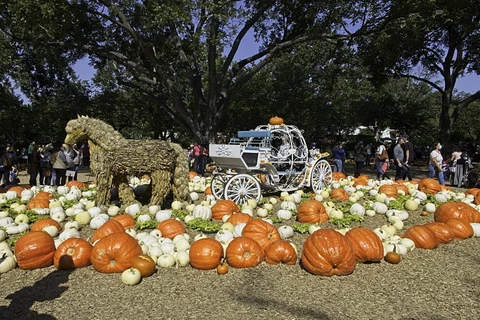 [Photo] Mỹ: Độc đáo ngôi làng bí ngô cổ tích vào mùa Lễ hội Halloween