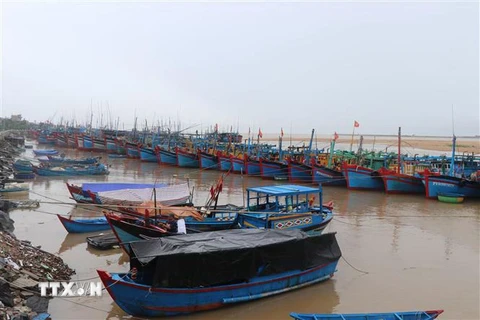Quảng Bình: Một ngư dân may mắn được cứu sống khi bị lũ cuốn 
