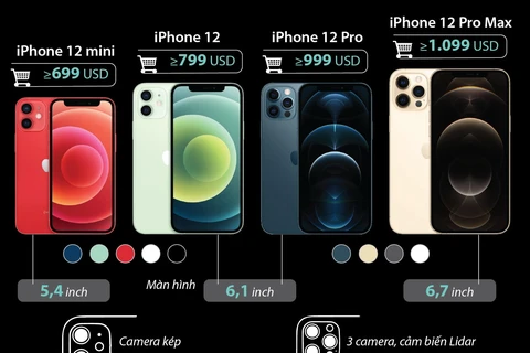 [Infographics] Dòng iPhone 12 của Apple đều kết nối mạng 5G