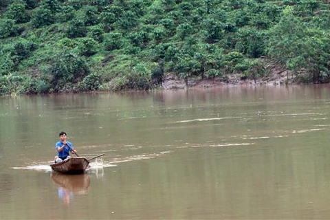 (Ảnh minh họa. Cao Nguyên/TTXVN)