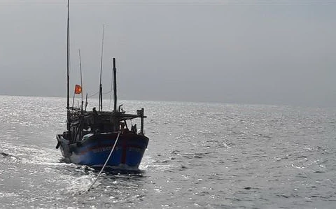 Một tàu cá Bình Định. (Ảnh minh họa. TTXVN phát)