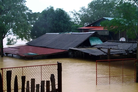 [Photo] Hà Tĩnh, Nghệ An ngập chìm trong biển nước do mưa lớn