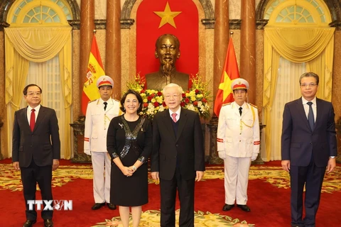 Tổng Bí thư, Chủ tịch nước Nguyễn Phú Trọng tiếp Bà María Del Pilar Méndez Jiménez, Đại sứ Đặc mệnh toàn quyền Tây Ban Nha tại Việt Nam đến trình Quốc thư. (Ảnh: Trí Dũng/TTXVN)