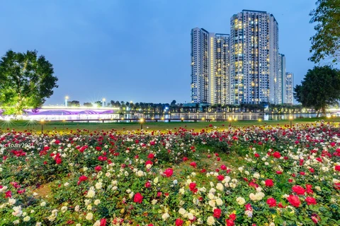 Hơn một triệu bông hồng bung nở rực rỡ khắp khu đô thị Ecopark