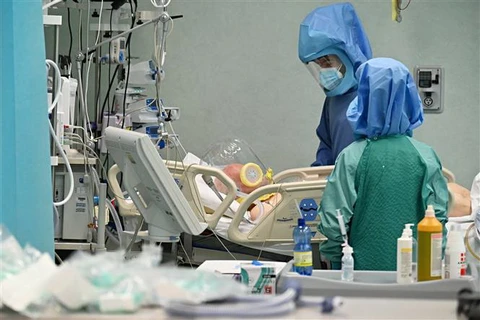 Nhân viên y tế điều trị cho bệnh nhân COVID-19 tại bệnh viện. (Ảnh: AFP/TTXVN)