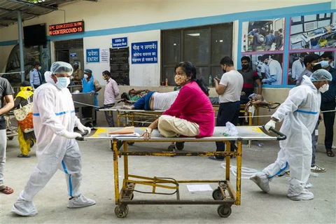 Nhân viên y tế chuyển bệnh nhân COVID-19 vào một bệnh viện ở New Delhi, Ấn Độ. (Ảnh: AFP/TTXVN)
