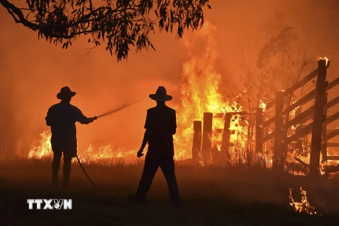 Lực lượng cứu hỏa nỗ lực dập lửa cháy rừng tại Hillsville, gần Taree, New South Wales, Australia, ngày 12/11/2019. (Ảnh: AFP/TTXVN)