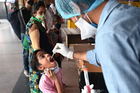 Nhân viên y tế lấy mẫu xét nghiệm COVID-19 cho người dân Ấn Độ. (nh: AFP/TTXVN)