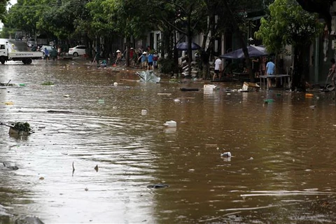 [Video] Mưa lớn gây ngập cục bộ nhiều nơi tại Lào Cai