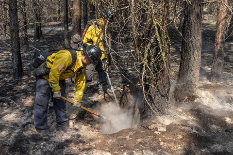 Mỹ: Lực lượng cứu hộ buộc phải rút lui do cháy rừng diễn biến phức tạp