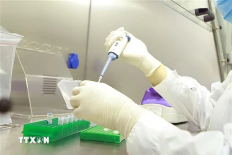 [Video] Việt Nam đã có 7 biến chủng của virus SARS-CoV-2