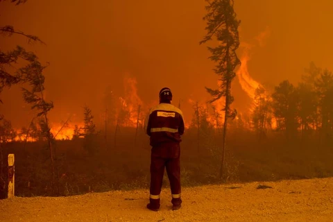 Tổng thống Nga yêu cầu tăng lực lượng khống chế cháy rừng ở Siberia