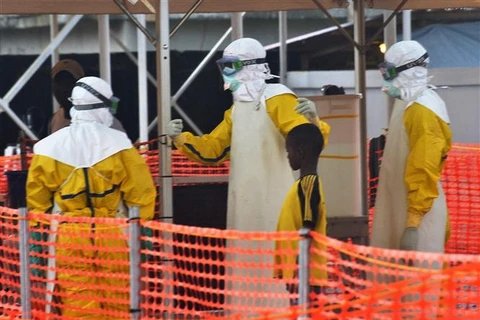 Bờ Biển Ngà phát hiện ca nhiễm virus Ebola đầu tiên trong 25 năm qua