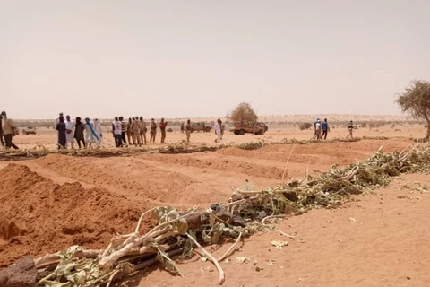 Niger: Các phần tử thánh chiến đột kích, giết hại 37 dân thường