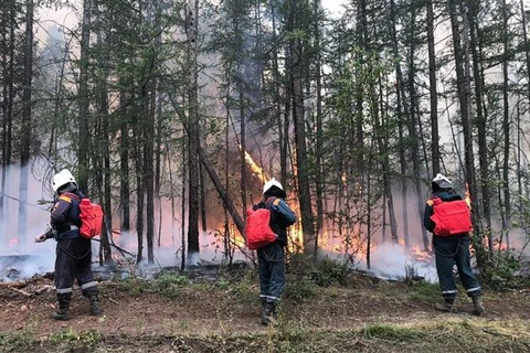 Cháy rừng nghiêm trọng tại Nga lan rộng đến vùng miền Trung