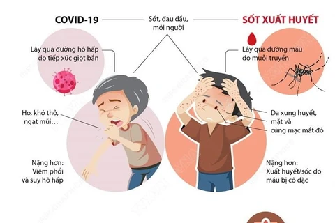 [Infographics] Cách phân biệt COVID-19 và sốt xuất huyết