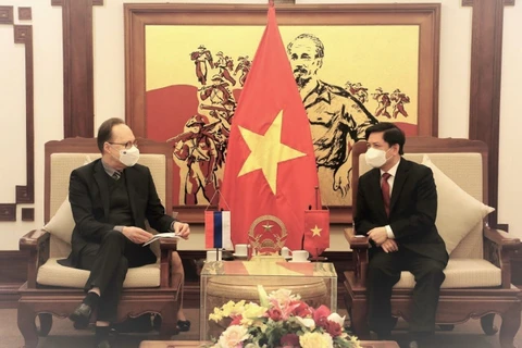 Thúc đẩy hợp tác Việt Nam-Nga trong lĩnh vực giao thông vận tải 
