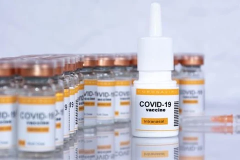 COVID-19: Vaccine dạng xông của CanSino được đánh giá có hiệu quả