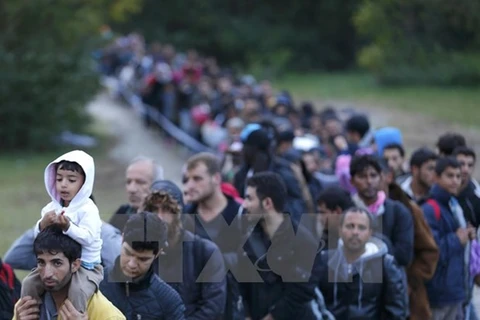 Tòa án Hungary ra phán quyết trong tranh chấp với EU về người di cư